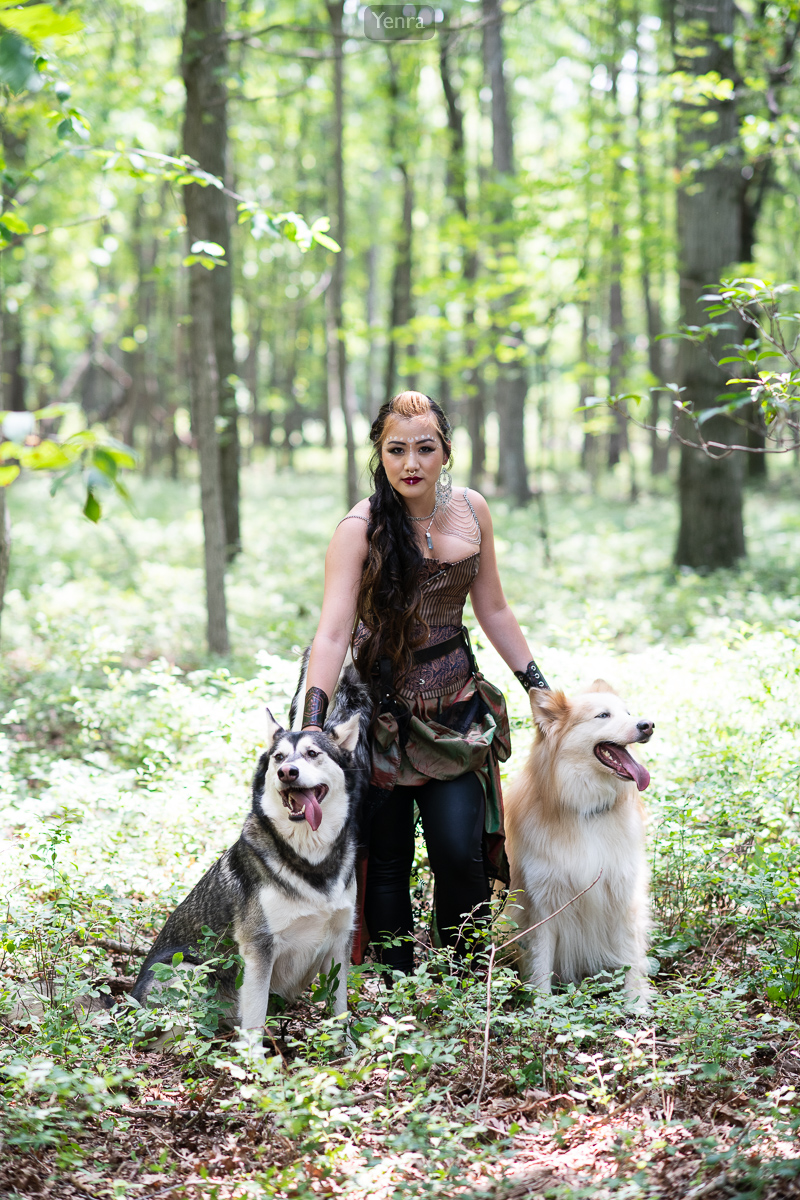 Wolf Dogs in the Forest
