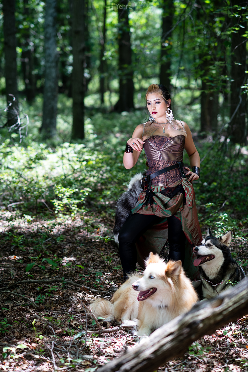 Forest Wolf Photoshoot