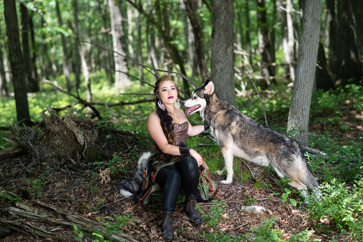 Forest Wolf Photoshoot