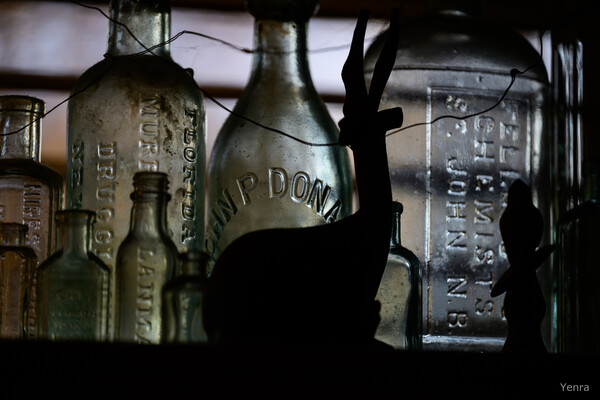 Vintage glass bottles with embossed text on a shelf, partially blocked by the dark silhouette of a deer figurine.