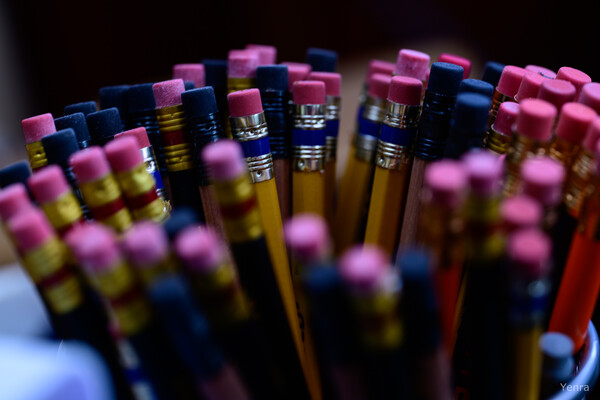 Close-up of sharpened pencils with pink erasers clustered together