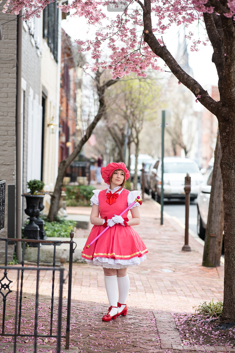 Sakura Kinomoto, Cardcaptor Sakura