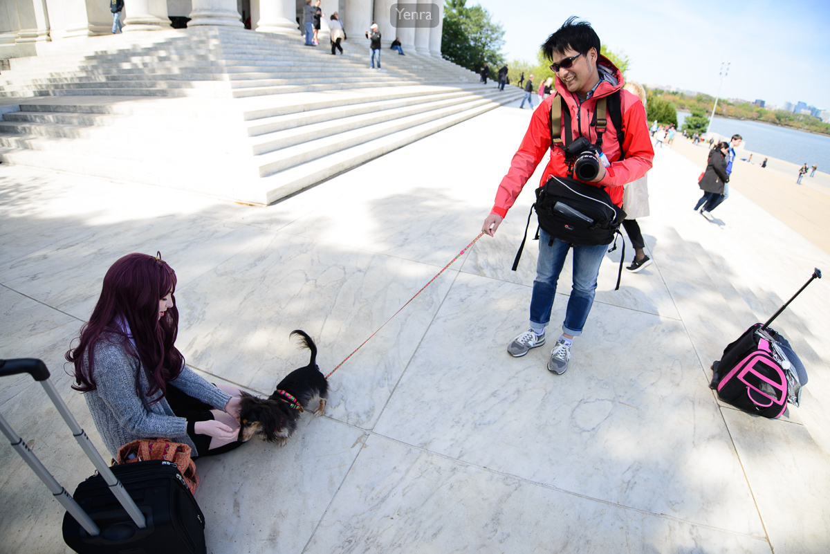 Dogspotting at the Jefferson Memorial
