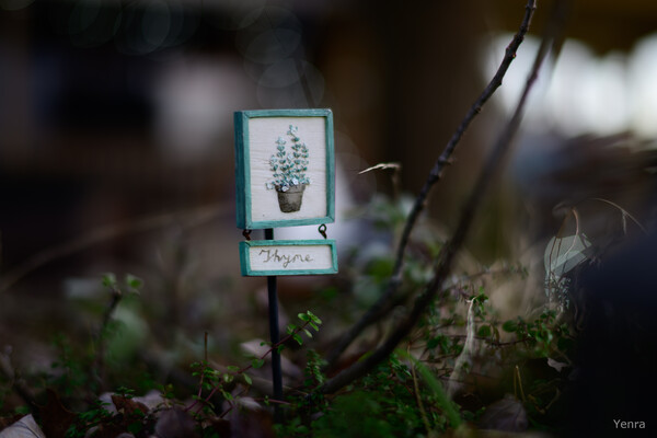 A small wooden garden sign labeled Thyme stands in a patch of green plants with a blurred background.