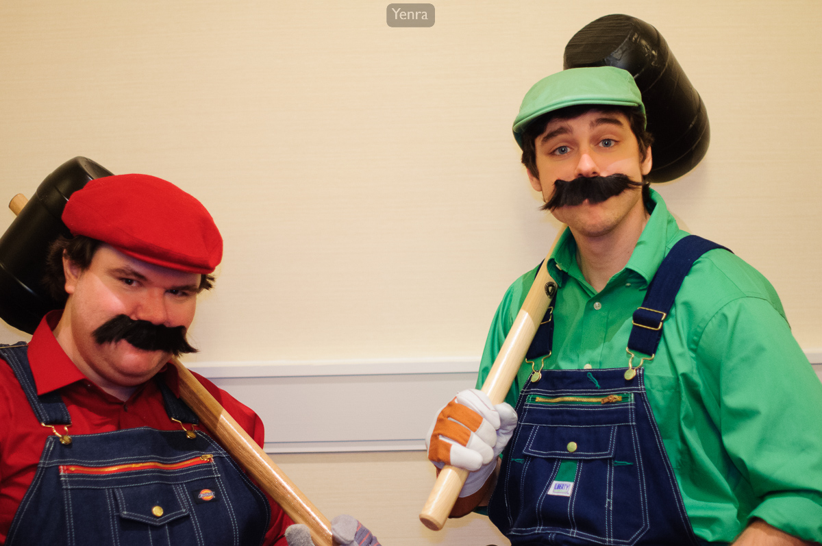 Mario and Luigi from Mario Bros series