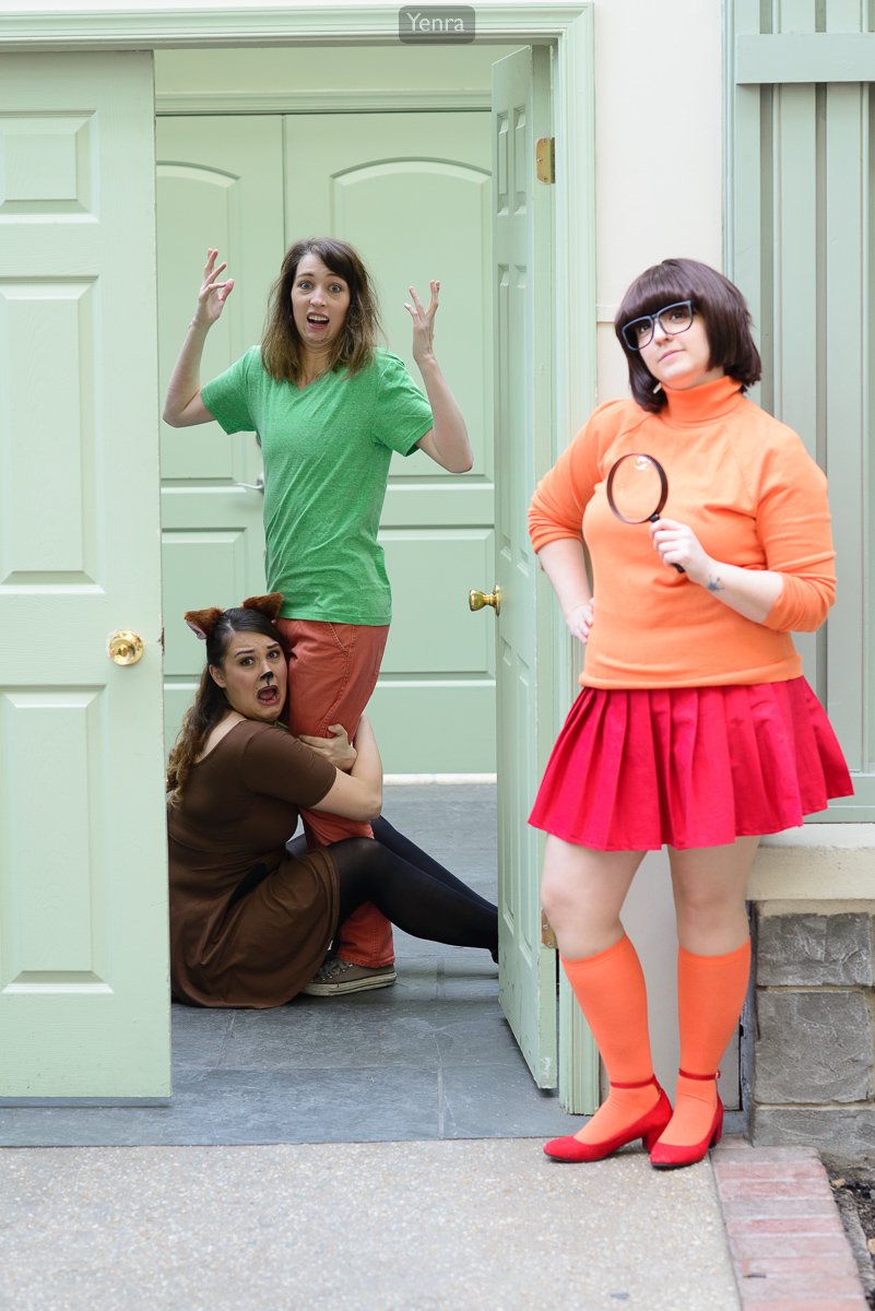 Velma finds Scooby and Shaggy