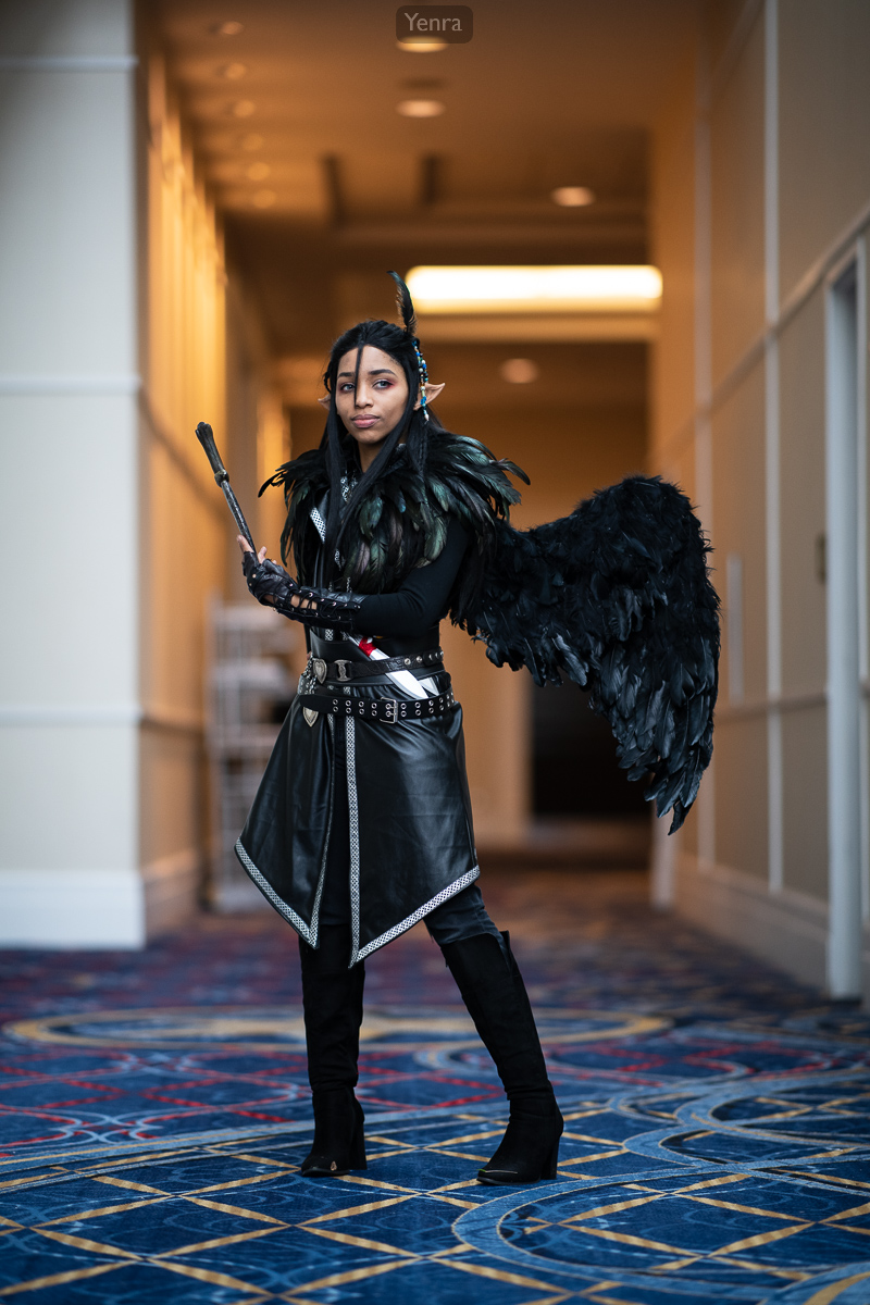 Vax'ildan Vessar, Paladin of the Raven Queen, Critical Role