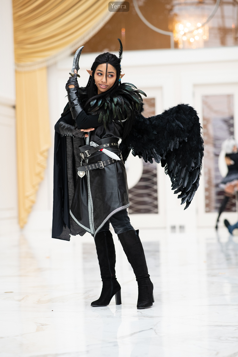 Vax'ildan Vessar, Paladin of the Raven Queen, Critical Role