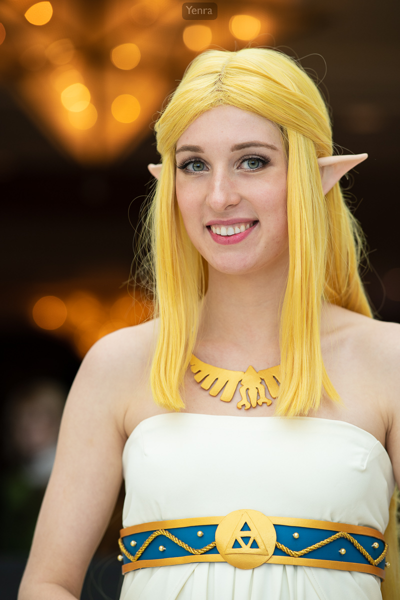 Princess Zelda, Breath of the Wild, Legend of Zelda