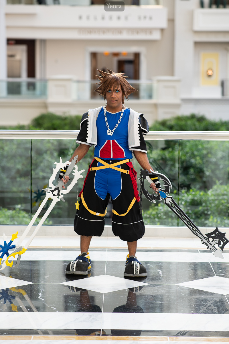Sora, Kingdom Hearts