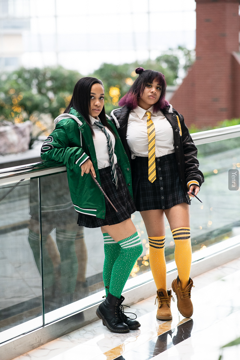 Slytherin and Hufflepuff, Harry Potter