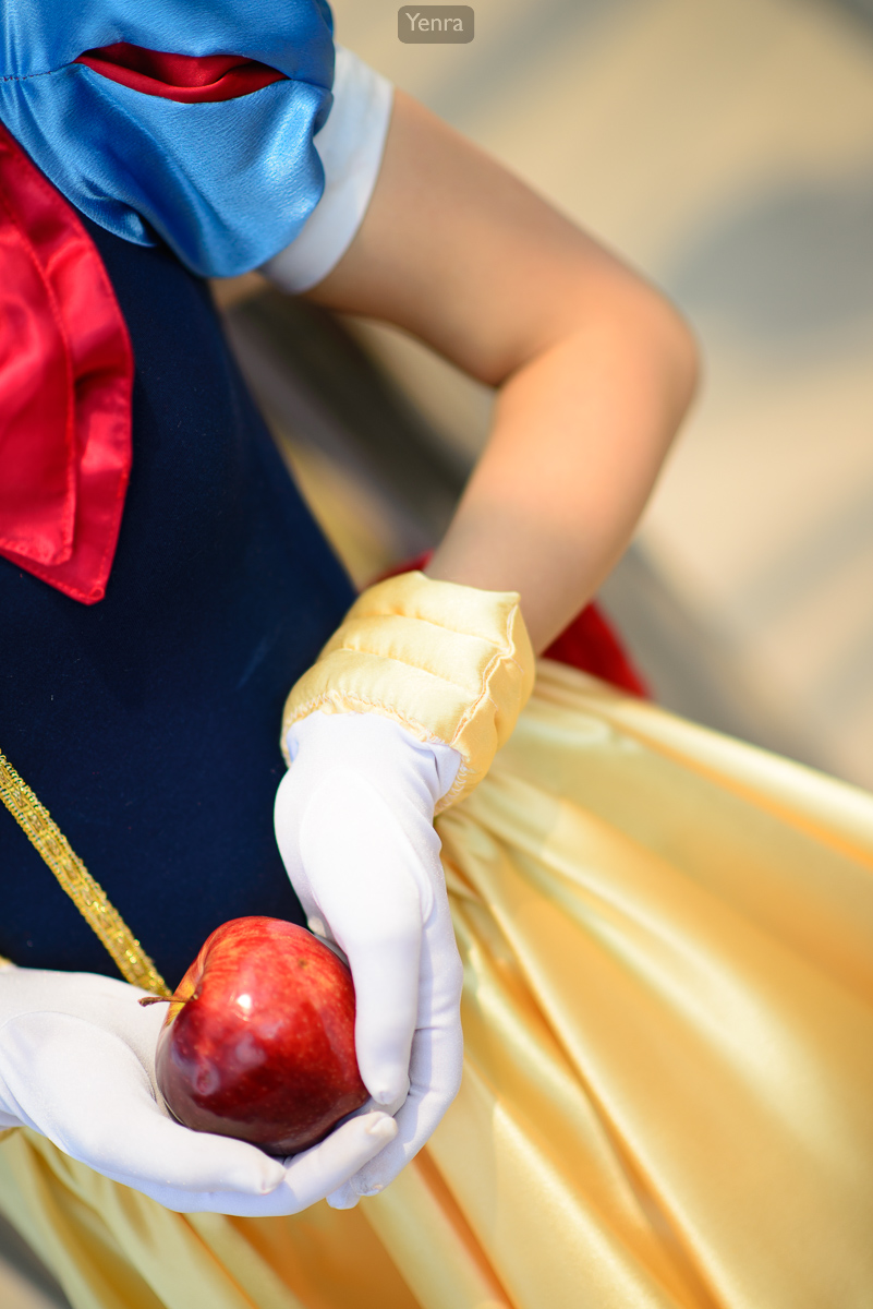 Sailor Snow White Details (Disney/Sailor Moon Crossover Series)