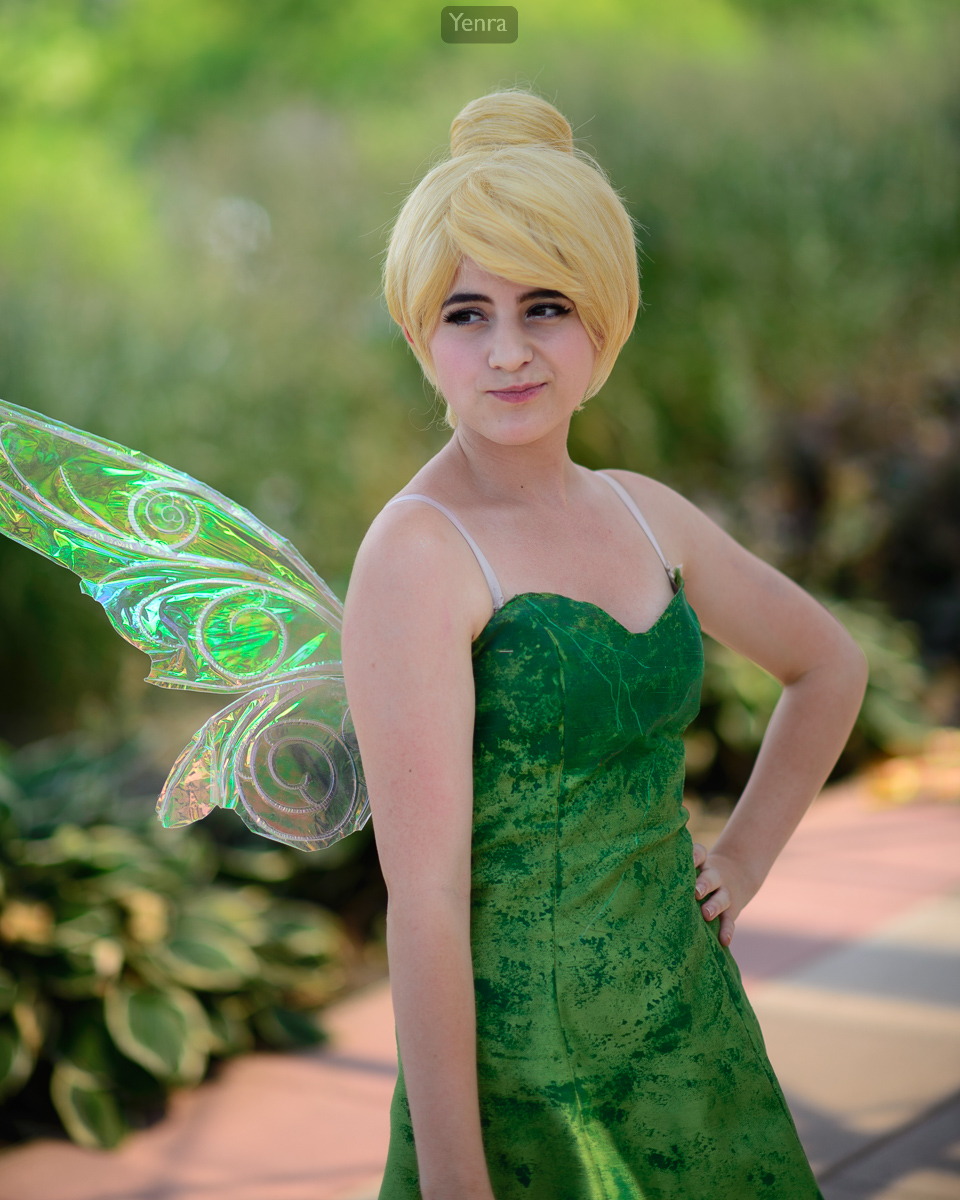 Tinkerbell from Disney's Peter Pan / Disney's Fairies