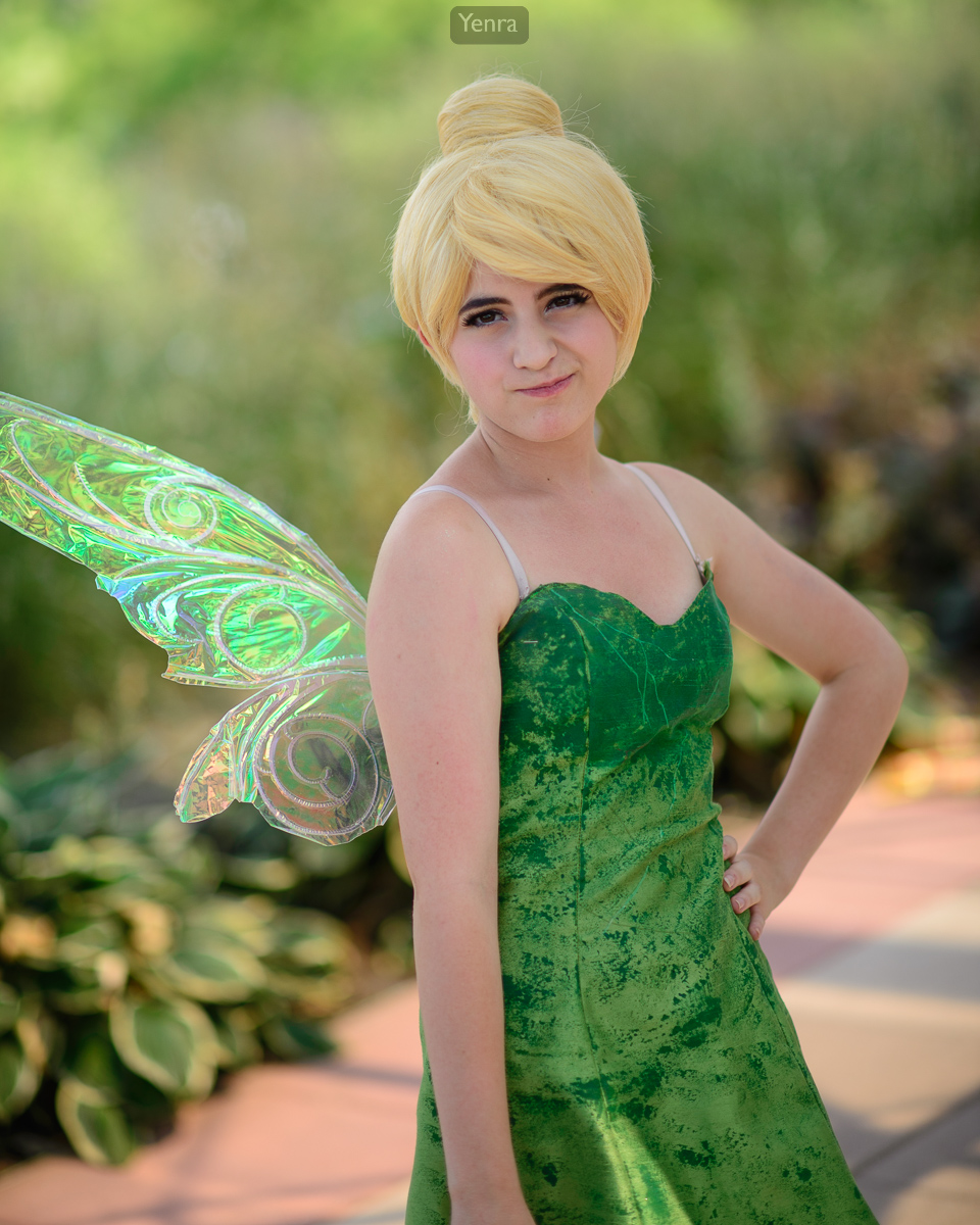 Tinkerbell from Disney's Peter Pan / Disney's Fairies