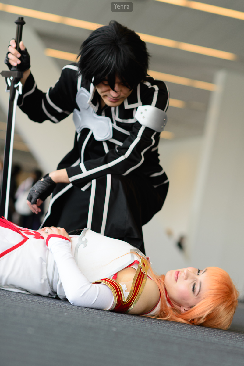 Kirito (black) and Asuna (white/red) from Sword Art Online